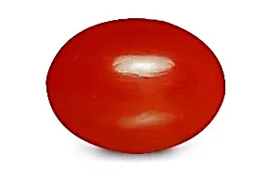 Coral / প্রবাল বা লাল পলা